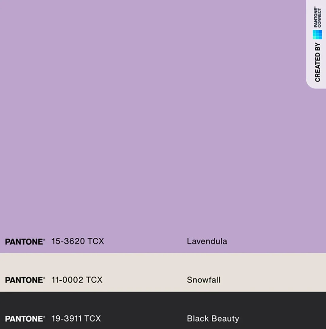 Brand Stories - Lavendula: A Color Story